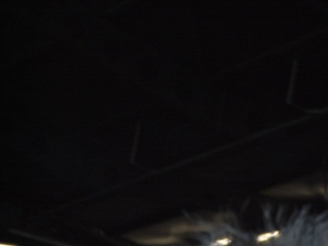 r0010217.jpg