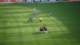dscf0136_small.jpg
