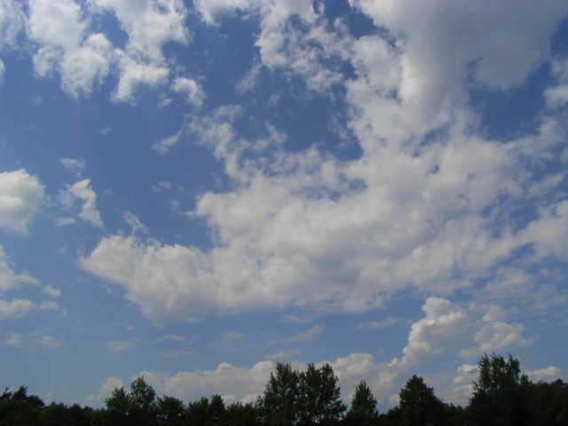 r0010537.jpg
